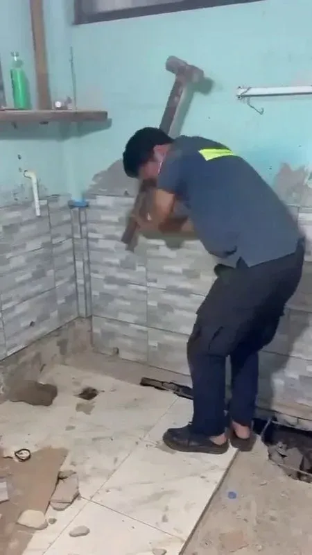 Rescuers capture python from school housing in Phuket Town