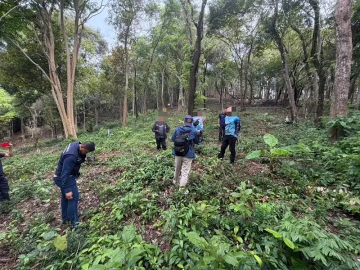 Three arrested over Khao Daeng protected land encroachment in Rawai