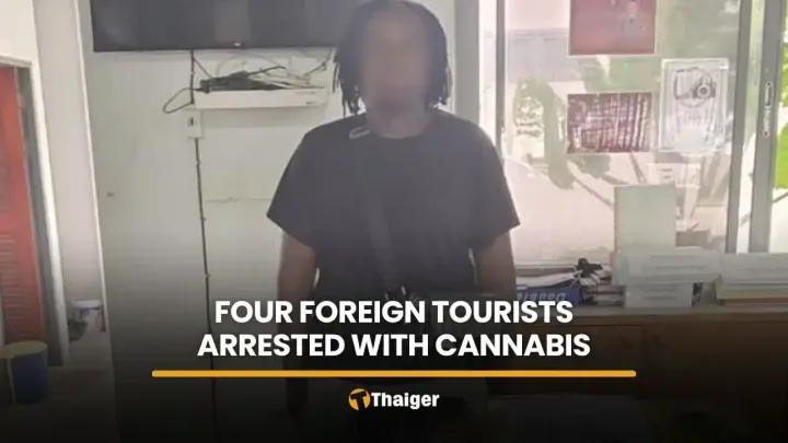 Four foreign tourists arrested with 33.6kg of cannabis at Phuket airport