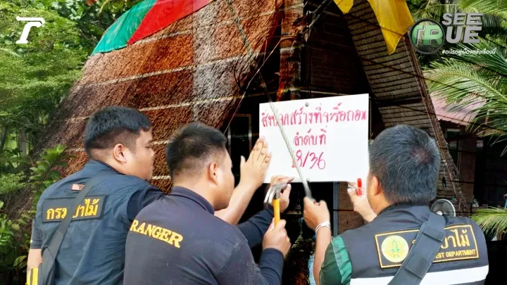 Thailand Environment Ministry Targets Suspected Encroachment at Phuket’s Freedom and Nui Beaches