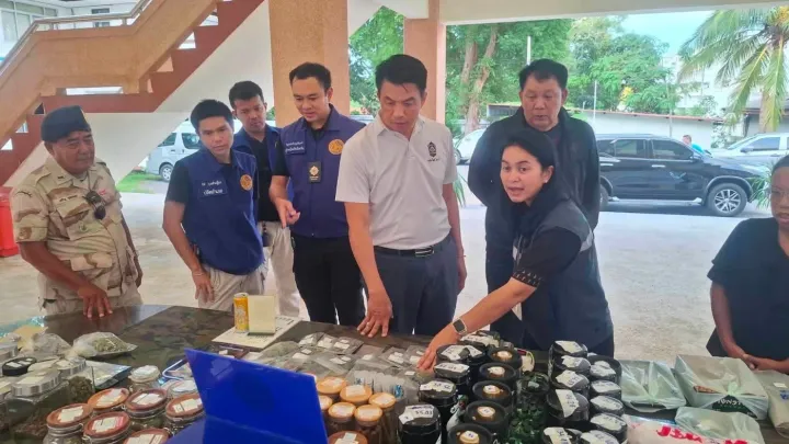 Phuket Authorities Arrest Five in Raids on Cannabis Shops