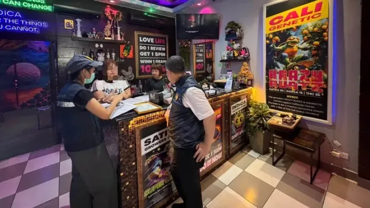 Four Phuket Town cannabis shops face licence revocation