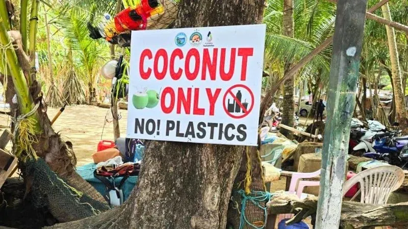 Rawai launches coconut waste separation project to cut disposal costs