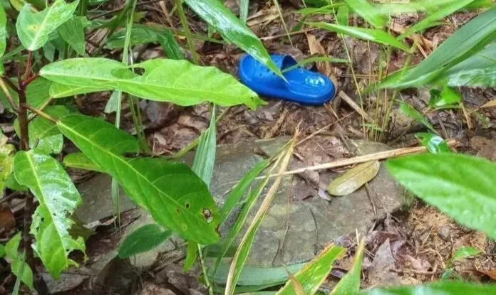 Search for Missing Toddler in Phang Nga Enters Third Day