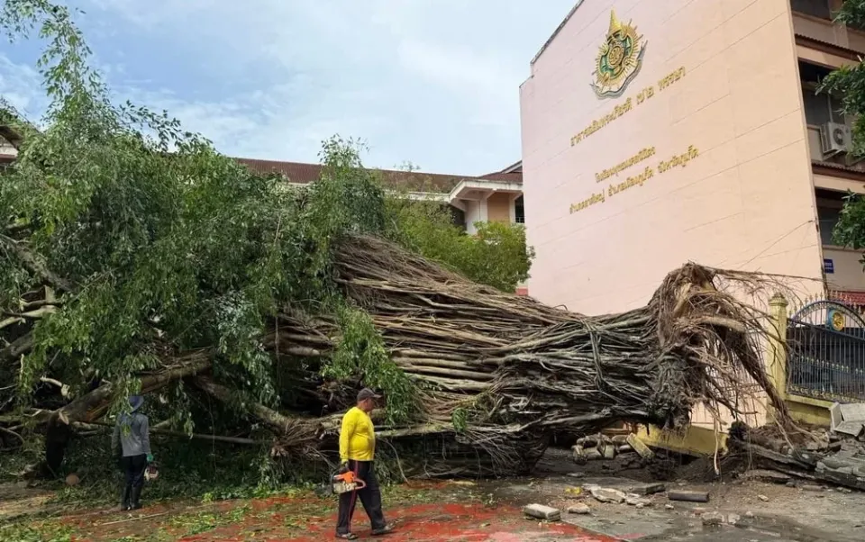 Storm in central Phuket topples large tree onto car and school wall