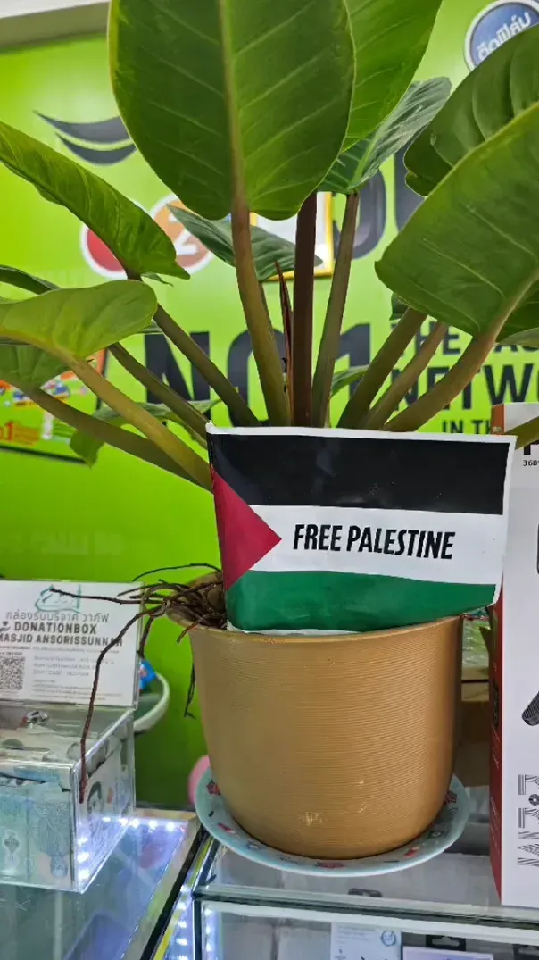 Phuket phone shop owner reports confrontation over ‘Free Palestine’ flag