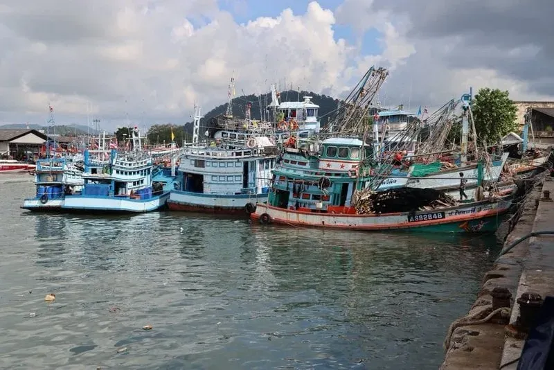 Phuket Fishing Port plans upgrades and regional seafood hub
