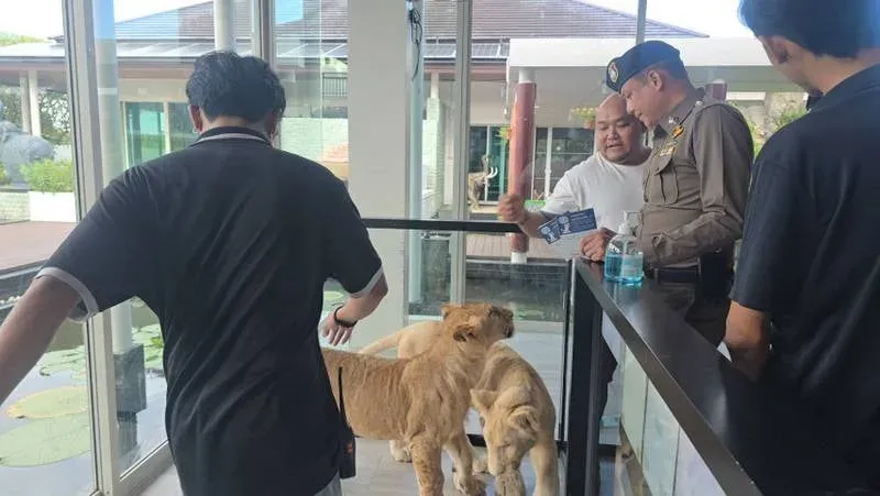 Lion Cafe op Phuket onderzocht na melding van een beet