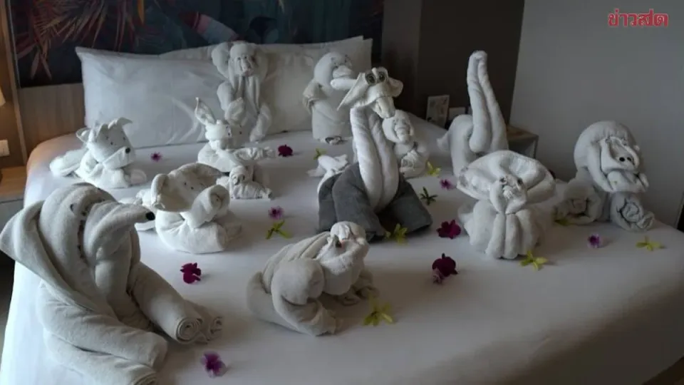 À Patong, un hôtel transforme une demande de serviettes en mini-zoo