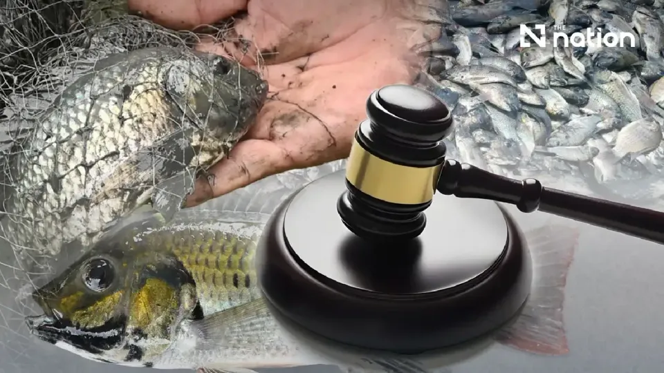 Thai court orders blackchin tilapia controls within 180 days