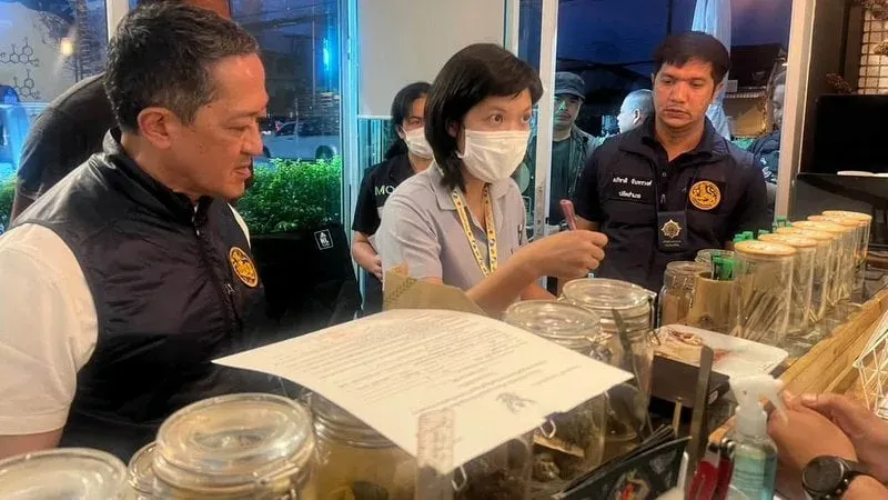Kief seized at unlicensed cannabis shop in Koh Kaew
