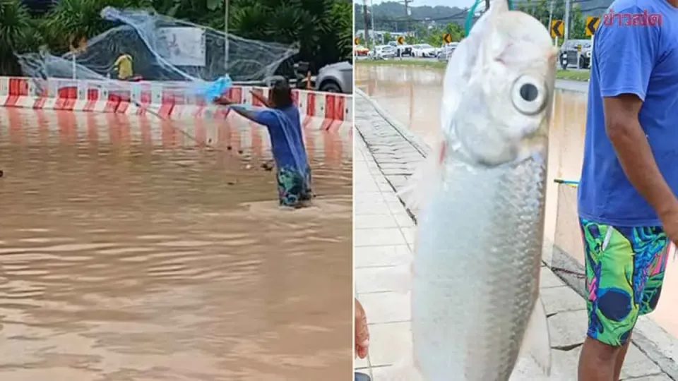 大雨过后，卡马拉居民在积水道路上撒网