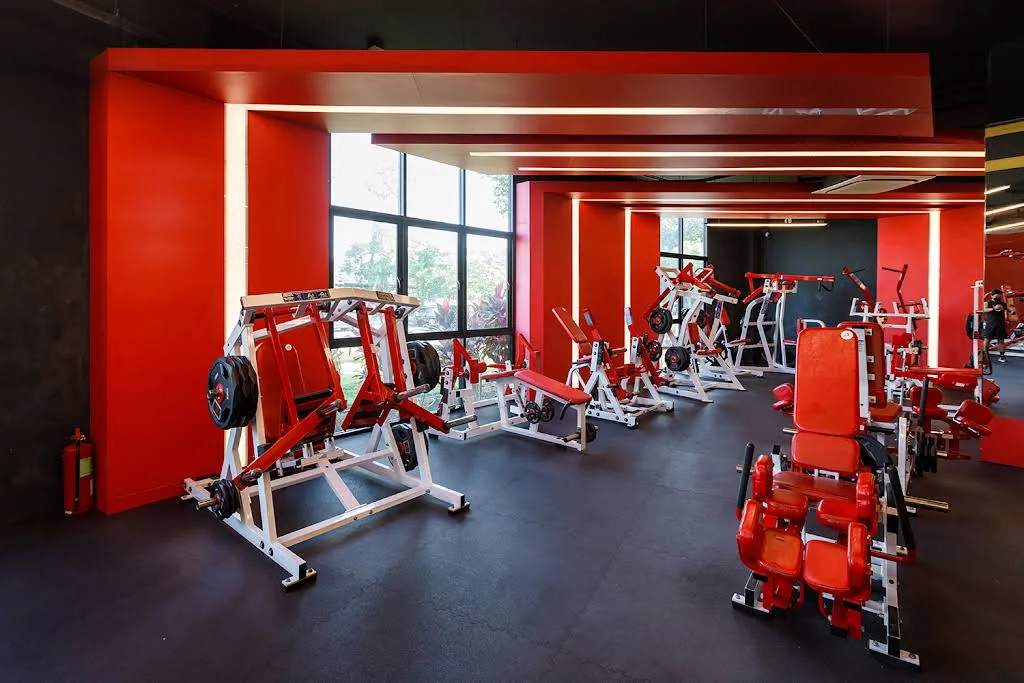 Alpha Health Club gym photo