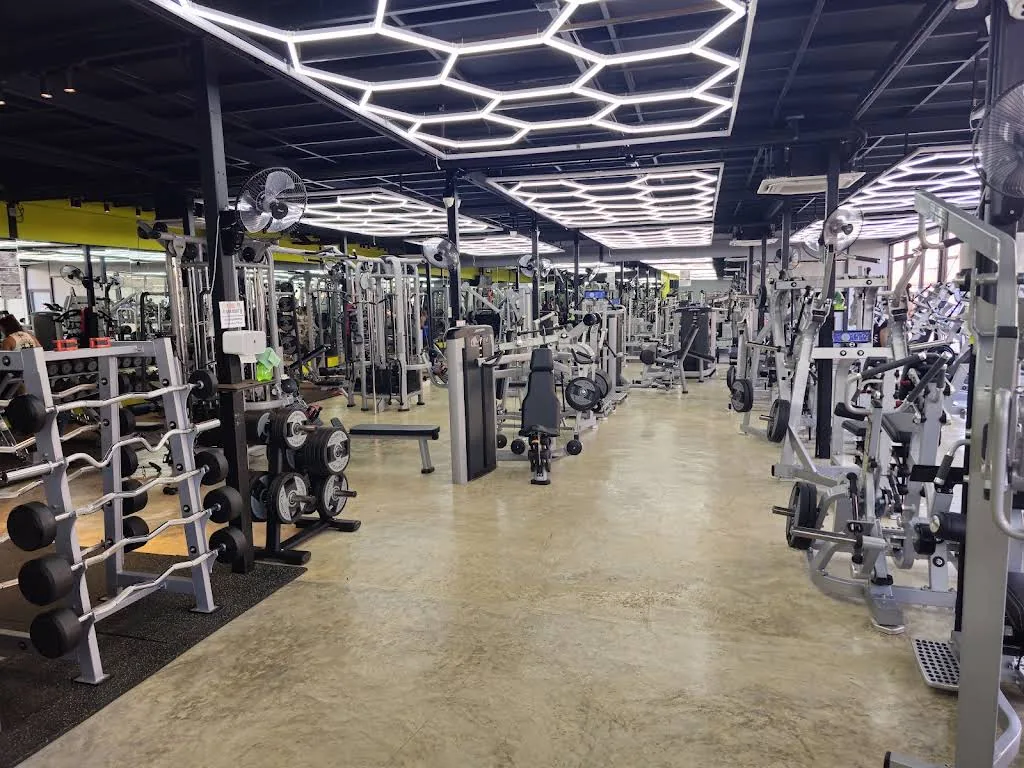 My Gym Patong gym photo