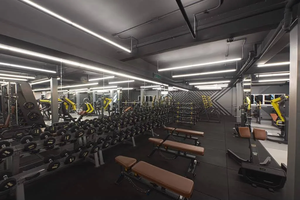 Workout club gym photo